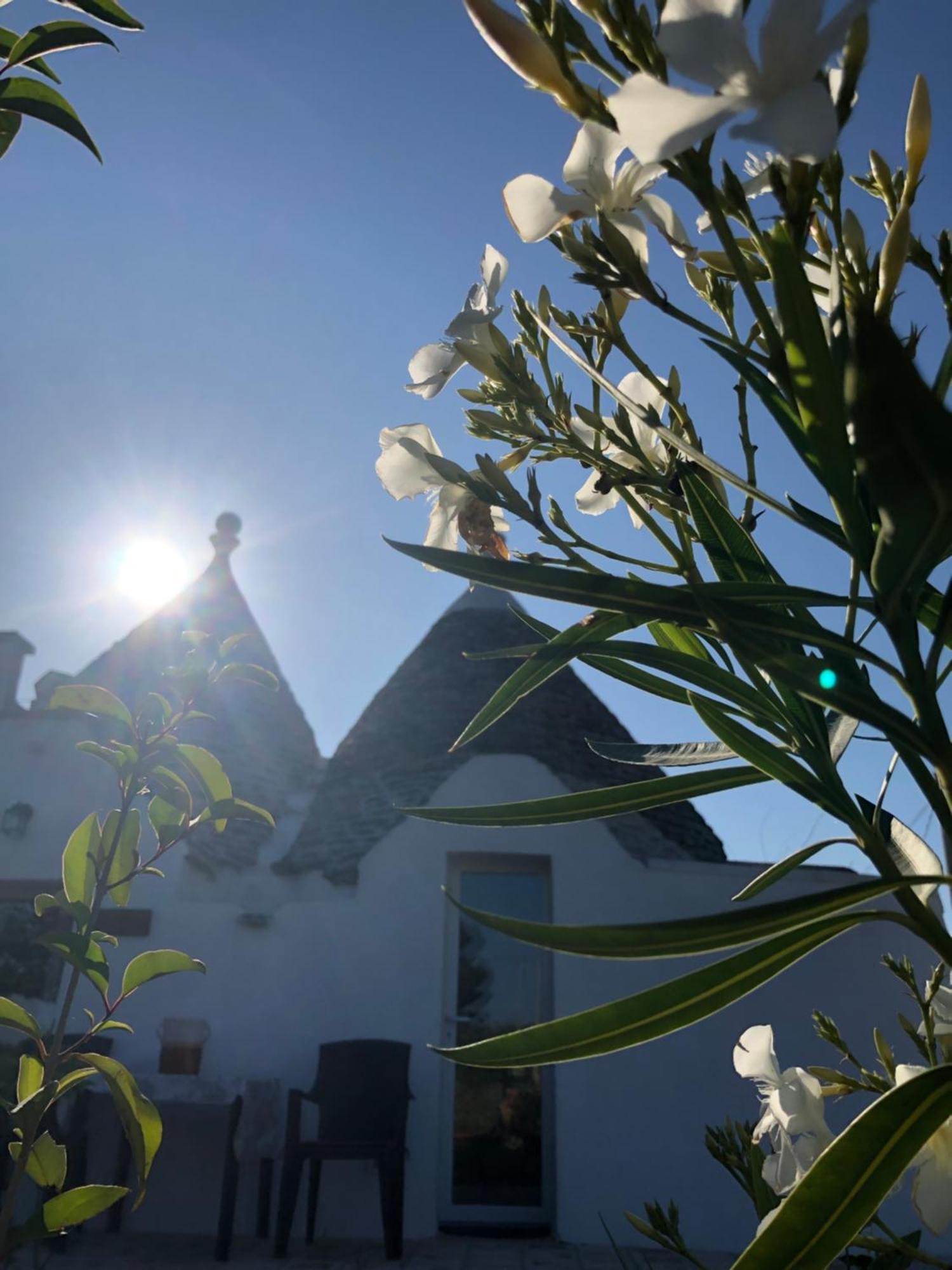 Trullo Trilli Puglia Villa Martina Franca Eksteriør bilde
