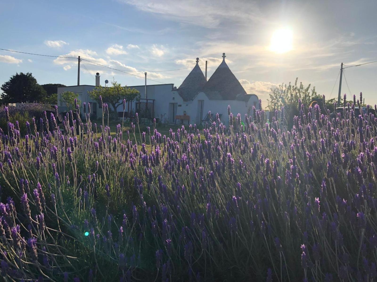 Trullo Trilli Puglia Villa Martina Franca Eksteriør bilde
